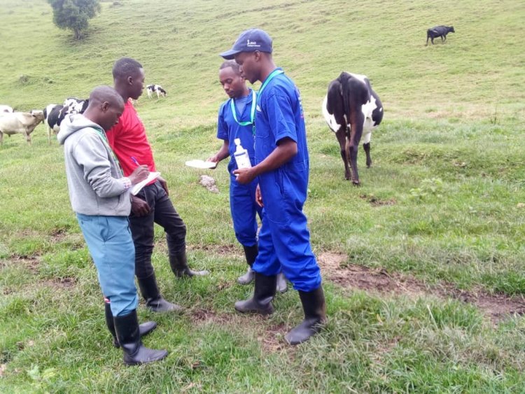 Abakora umwuga wo kuvura amatungo batangiye guhurizwa hamwe