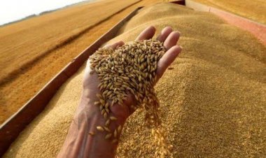 Impamvu intambara yo muri Ukraine ishobora guteza inzara muri Afurika