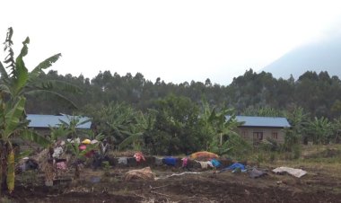 Burera: Abatuye mu mudugudu w’icyitegererezo wa Birwa barasaba guhabwa umuriro w'amashanyarazi