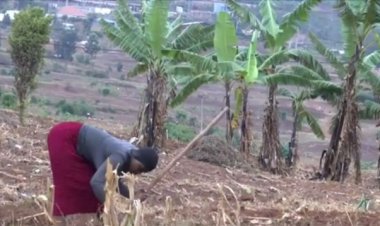 Baracyafite urujijo ku bishingirwaho mu kugena umusoro w’ubutaka n’imitungo itimukanwa.