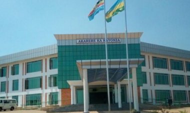 Kayonza: Ubutubura bw’imbuto y’ibijumba n’imyumbati bwitezweho kurandura burundu ikibazo cy’amapfa