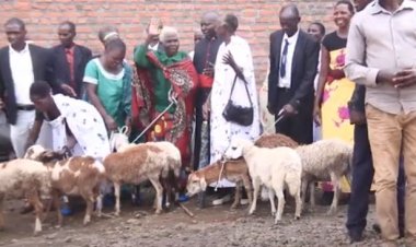 Burera:  Abaturage bahuriye mu matsinda yo kwizigama no kugurizanya borojwe intama.