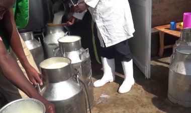 Gisagara:  Abaturage barifuza ikaragiro , ubuyobozi bwo ngo ni basubize amerwe mu isaho