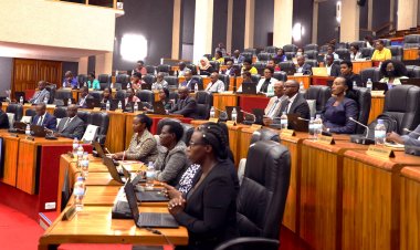 Abadepite batunze agatoki  imirongo y’itumanaho idatanga serivisi nziza