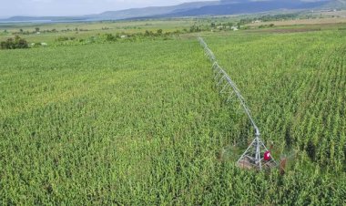 Kirehe: Imishinga yo kuhira yazamuye imibereho y'abaturage