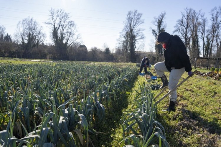 Négociations entre industriels et grandes surfaces: hausse des prix d'"environ 10%" en perspective