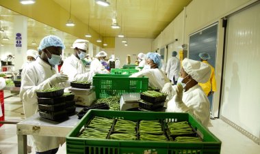 Impuzamasendika iravuga ko umushahara fatizo mu Rwanda utajyanye n'igihe