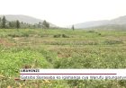 Gatsibo: Abahinga mu gishanga cya Manishya kizwi nka Warufu barasaba ko gitunganywa neza