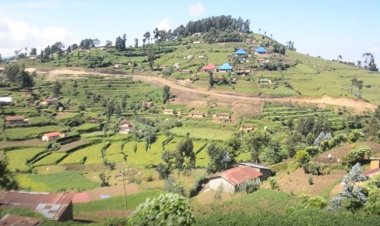 Nyabihu- Arusha:  Abaturage barasaba ko bakwegerezwa amazi kuko bagorwa no kujya kuvoma kure