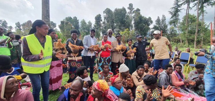 Musanze : Abaturage bo mu murenge wa Kinigi bafite abana bahuye n’ikibazo cy’ingwingira borojwe inkoko