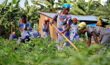 Bamwe mu bagore batinyutse bakishyira hamwe, baravuga ko byabafashije mu iterambere ryabo