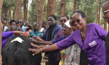 Nyaruguru: Abanywaga amata bayaguze bagiye kujya bayikamira