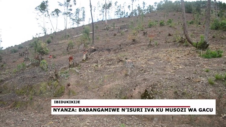 Nyanza: Abaturage babangamiwe n'isuri iva ku musozi wa Gacu