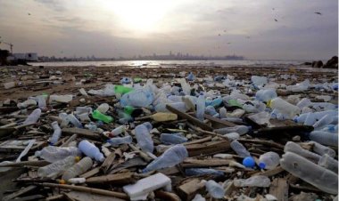 Abaturage barasabwa kurengera ibidukikije mu buryo bubyara  inyungu ku batinyutse kubigira umurimo.