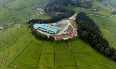 Ngororero: Ahahoze hari ububiko bw'imbunda zatsembye Abatutsi ubu ni urunganda benshi bakesha iterambere