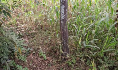 RWAMAGANA: Batewe impungenge n’amapoto y’amashanyarazi yashaje n’ayariwe n’umuswa.