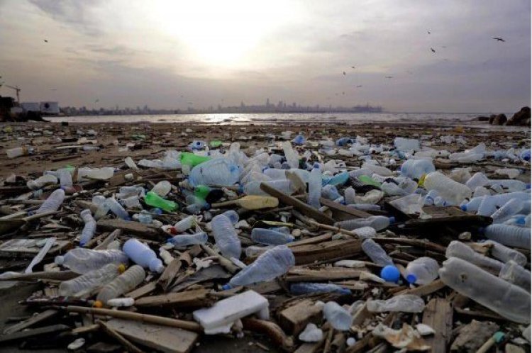 Abaturage barasabwa kurengera ibidukikije mu buryo bubyara  inyungu ku batinyutse kubigira umurimo.