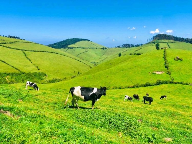 Abatangije ubukerarugendo mu Bigogwe barasaba ubufasha kugira ngo barusheho gukora neza