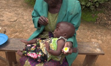 Musanze: Gahunda y’igi rimwe buri munsi yitezweho  kugabanya ikigeri cy'abana bagwingiye.