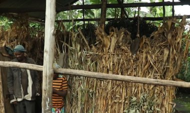 Burera: Hari imiryango yo mu murenge wa Gahunga itishoboye ikiba mu nzu za Nyakatsi