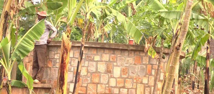 Kirehe: Bamaze imyaka hafi ine bategereje ingurane barahebye