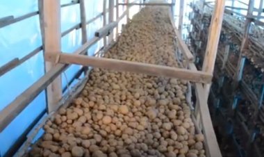 Nyamagabe: Kubakirwa Green House byabafashije kongera umusaruro