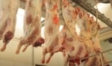 Ese koko inyama z’itungo ribagiweho nizo zujuje ubuziranenge