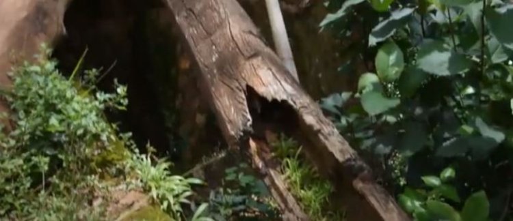 Nyamagabe: Iyangirika ry'imihanda rituma banyura mu turere dutatu ngo bagere ku biro by’akarere kabo!