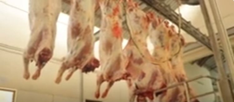 Ese koko inyama z’itungo ribagiweho nizo zujuje ubuziranenge