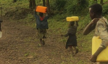 Rutsiro: Bakora urugendo rw’amasaha 6 bajya gushaka aho bagurisha amata