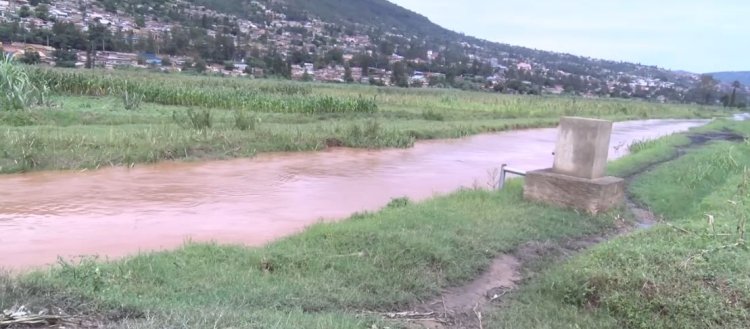 Ihindagurika ry'ikirere ribangamira umusaruro w'ubuhinzi