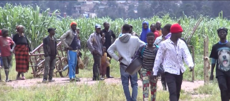 Barasaba kwishyurwa ingurane y’imyaka yabo ihinze mu gishanga cya Gatsata -Nyabugogo