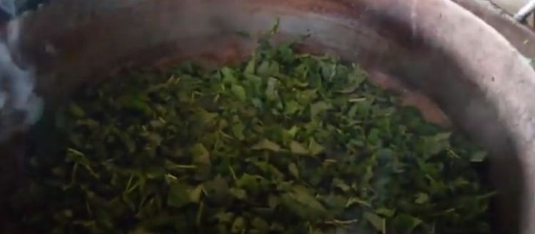 Nyaruguru: ahari ubusitani bahahinze imboga zo gutekera abanyeshuli