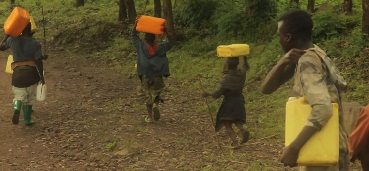 Rutsiro: Bakora urugendo rw’amasaha 6 bajya gushaka aho bagurisha amata