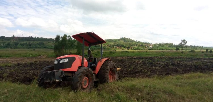 Hari abahinzi bavuga ko bumva mu magambo gusa ibijyanye no guhingisha imashini zihinga