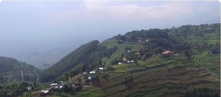 Burera: Inkunga yagenewe abarembetsi yahawe abandi none basubiye kwambutsa ibirimo ibiyobyabwenge