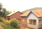 Gatsibo:  Bahangayikishijwe n’abajura b’imyaka n’amatungo 