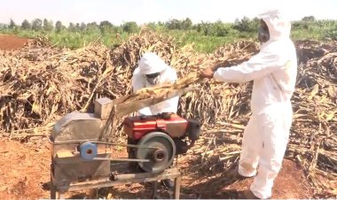 Rwamagana: Barasaba gufashwa mu mushinga wo gukora ifumbire