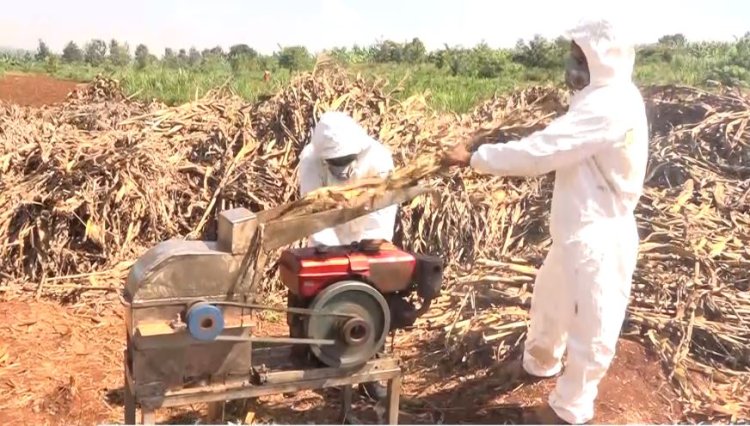 Rwamagana: Barasaba gufashwa mu mushinga wo gukora ifumbire