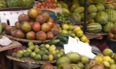 Guhindura utunyangingo tw’ibihingwa byitezweho gukemura ibibazo by’imbuto zidatanga umusaruro