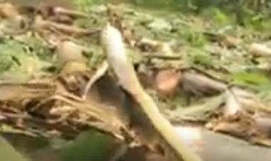 Ninde uzabazwa igihombo  cy’imyaka y’abatishoboye yaranduwe ngo bubakirwe nyuma ubuyobozi bukivuguruza?