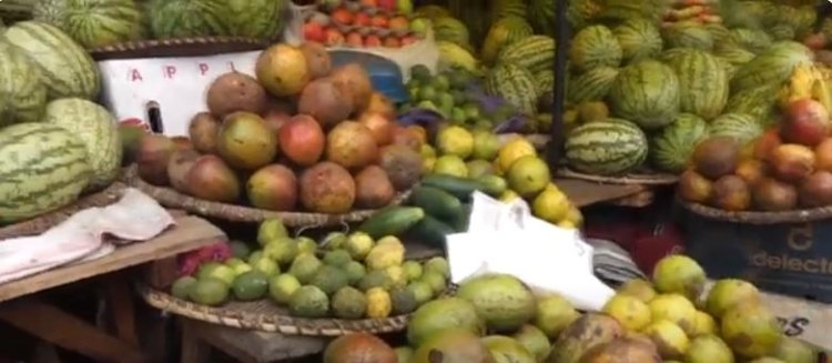 Guhindura utunyangingo tw’ibihingwa byitezweho gukemura ibibazo by’imbuto zidatanga umusaruro