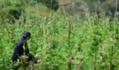 Huye: Babangamiwe n’itsinda ry’abajura biba imyaka