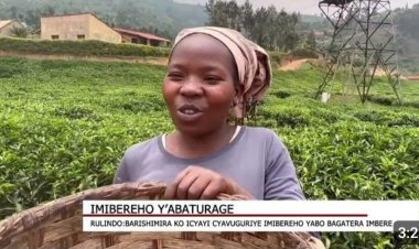 RULINDO: Abahinga n'abasoroma icyayi bemeza ko kimaze kubateza imbere