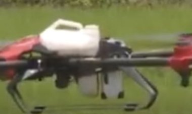 Citizens load the government for the use drones to address certain issues