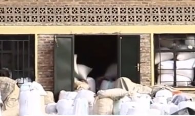 Rice farmers are lamenting the lack of a market for their produce