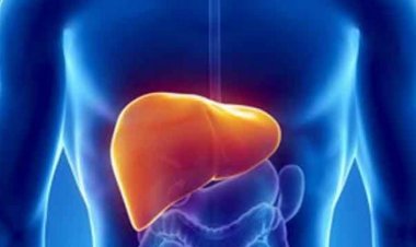 Liver testing, the only way to confirm one is infected