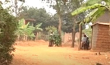 Kugira inshoreke byaviriyemo umugabo kwica umugore we