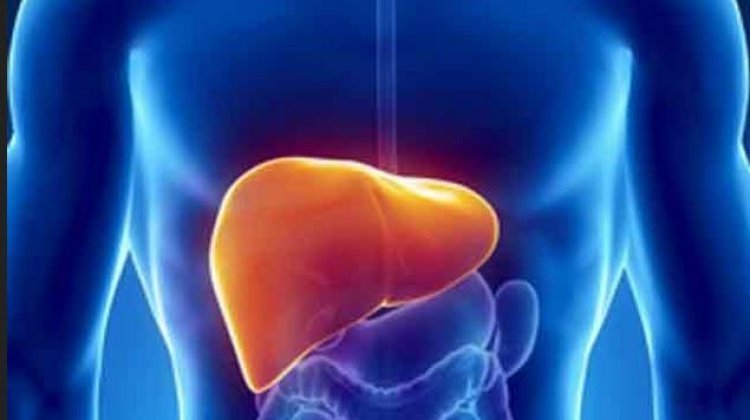 Liver testing, the only way to confirm one is infected