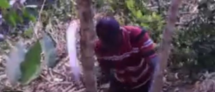 Huye -Kigoma: Barasaba amahugurwa n'ibikoresho bibafasha gusazura ikawa